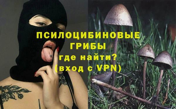 мяу мяу мука Абаза